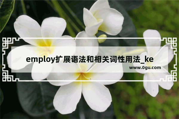 employ扩展语法和相关词性用法_keepfight语++确吗