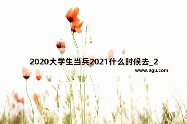 2020大学生当兵2021什么时候去_2020-2021国家励志奖学金下发日期