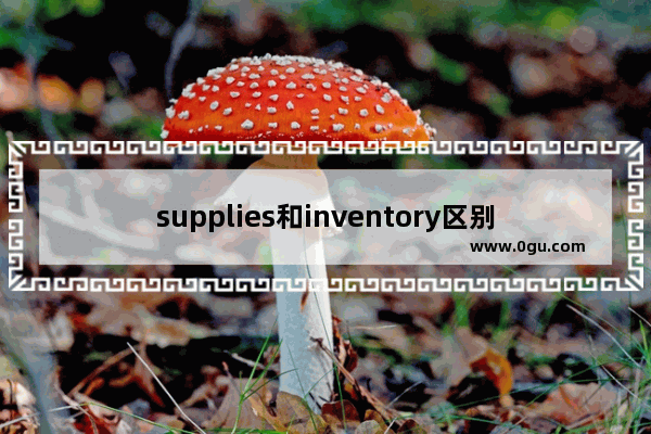 supplies和inventory区别 清单用英语怎么说