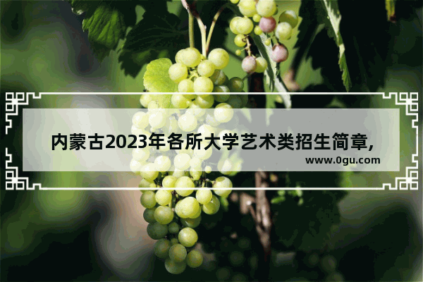 内蒙古2023年各所大学艺术类招生简章,呼和浩特成人英语考试报名