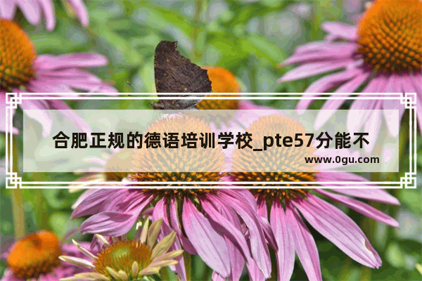 合肥正规的德语培训学校_pte57分能不能上新南威尔士语言班