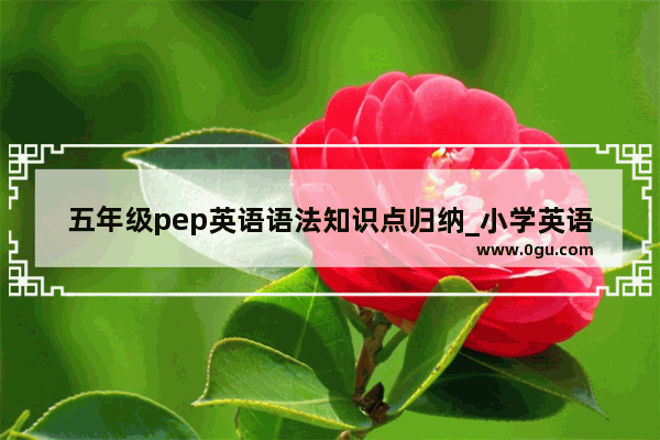 五年级pep英语语法知识点归纳_小学英语人教版两个版本的区别