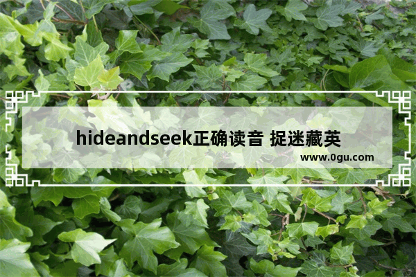 hideandseek正确读音 捉迷藏英语怎么说