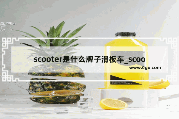 scooter是什么牌子滑板车_scooter平衡车是什么牌子