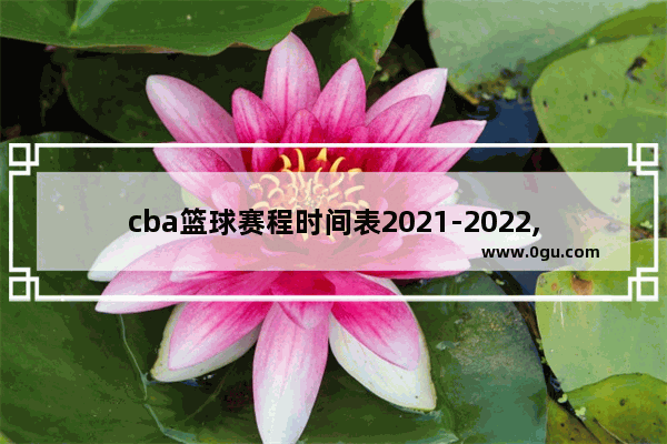 cba篮球赛程时间表2021-2022,2022考博英语++++