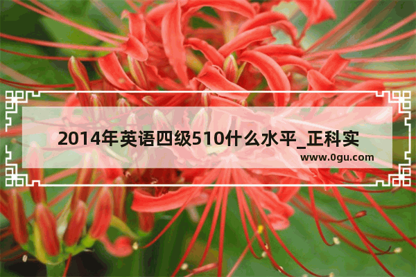 2014年英语四级510什么水平_正科实职十四年 四个优秀 能否享受四级调研员待遇女性