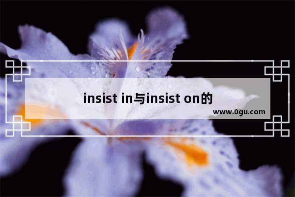 insist in与insist on的区别_鉴督的读音含义