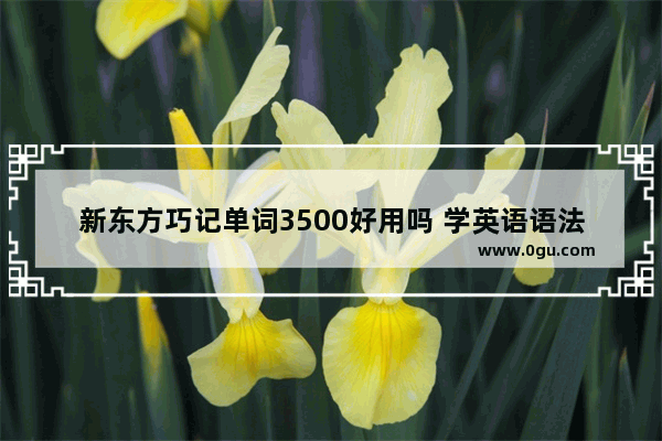 新东方巧记单词3500好用吗 学英语语法3500字好吗