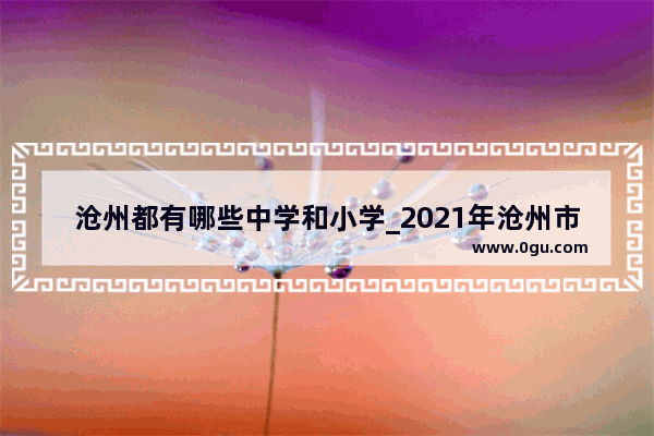 沧州都有哪些中学和小学_2021年沧州市黄河路小学报名时间