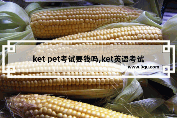 ket pet考试要钱吗,ket英语考试报名费用