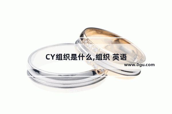 CY组织是什么,组织 英语