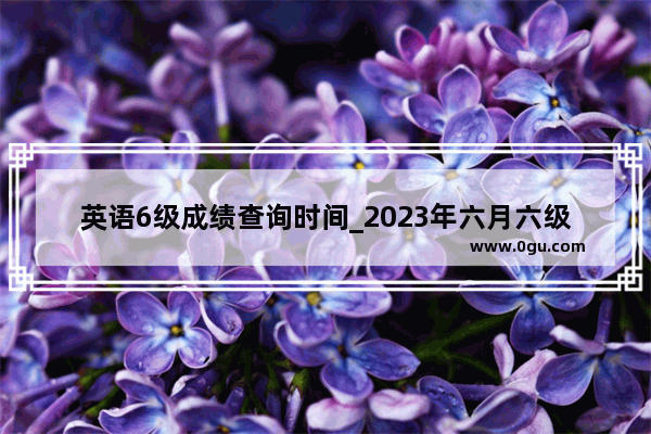 英语6级成绩查询时间_2023年六月六级什么时候出成绩