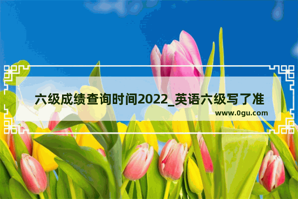 六级成绩查询时间2022_英语六级写了准考证号但是忘记涂了还有成绩吗 阅卷老师会不会帮忙涂上