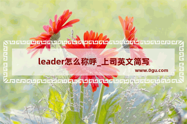 leader怎么称呼_上司英文简写