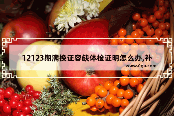 12123期满换证容缺体检证明怎么办,补缴英语听力费