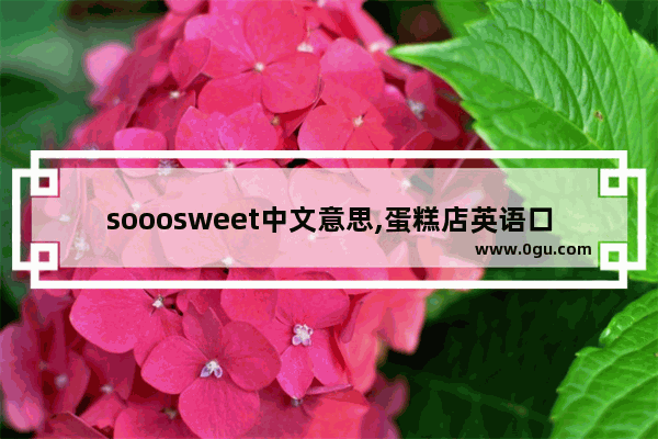 sooosweet中文意思,蛋糕店英语口语