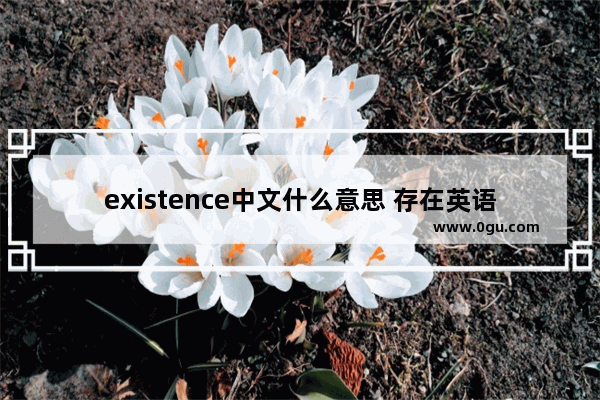 existence中文什么意思 存在英语