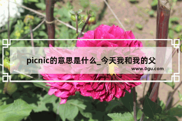 picnic的意思是什么_今天我和我的父母参加了一个户外的野餐聚会英文