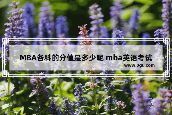 MBA各科的分值是多少呢 mba英语考试有七选五