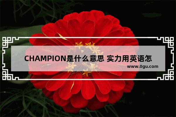 CHAMPION是什么意思 实力用英语怎么说