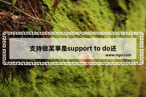 支持做某事是support to do还是support doing 支持  英语