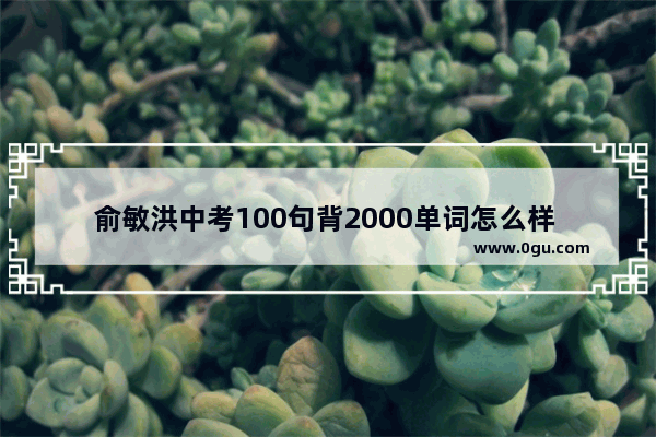 俞敏洪中考100句背2000单词怎么样 俞敏洪说英语语法