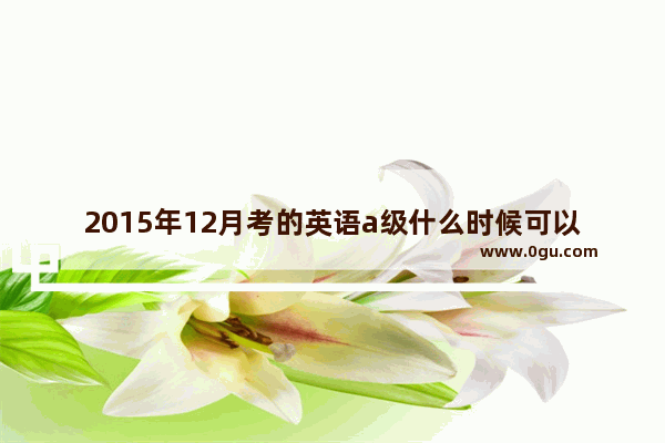 2015年12月考的英语a级什么时候可以查分数_123号令2015版对左手握力达到多少牛顿可以申请驾驶证