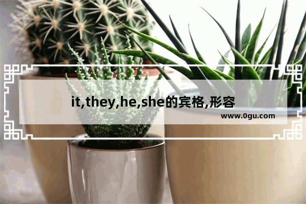 it,they,he,she的宾格,形容词性物主代词,名词性物主代词分别是什么_them是名词性物主代词吗