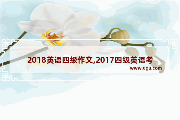 2018英语四级作文,2017四级英语考试作文