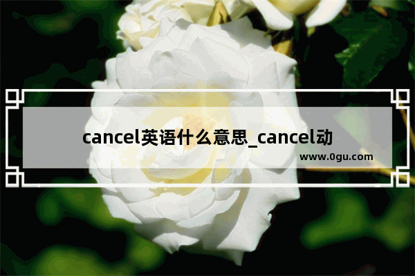 cancel英语什么意思_cancel动词