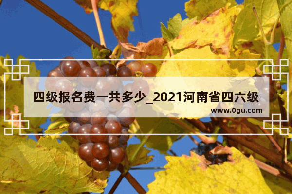 四级报名费一共多少_2021河南省四六级报名费