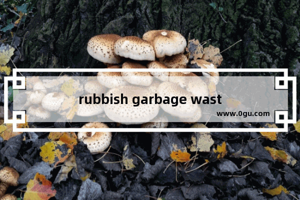 rubbish garbage waste litter trash 区别_litter和rubbish和trash和garbage的区别