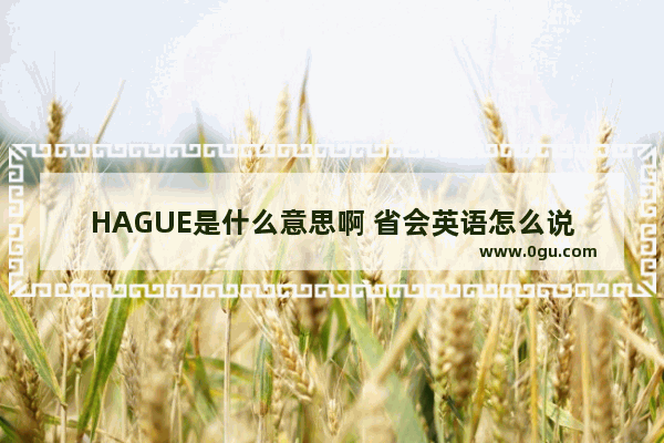 HAGUE是什么意思啊 省会英语怎么说