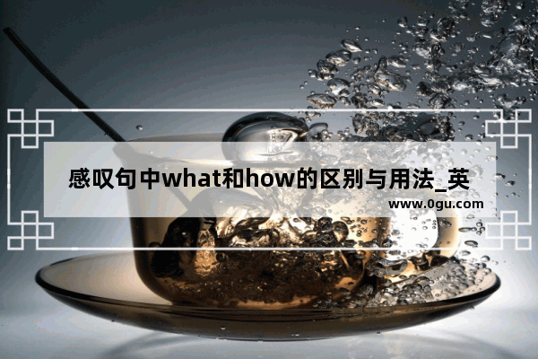 感叹句中what和how的区别与用法_英语改感叹句的三步骤