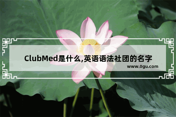 ClubMed是什么,英语语法社团的名字有哪些