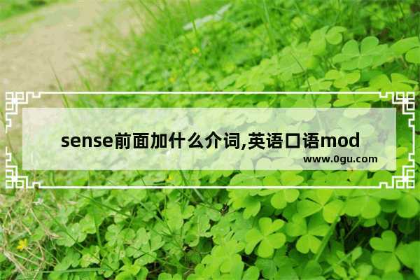 sense前面加什么介词,英语口语modest