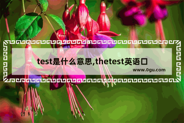 test是什么意思,thetest英语口语