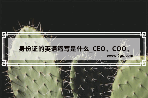 身份证的英语缩写是什么_CEO、COO、CFO、CTO、CIO是什么意思