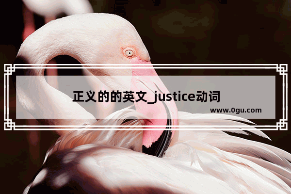 正义的的英文_justice动词