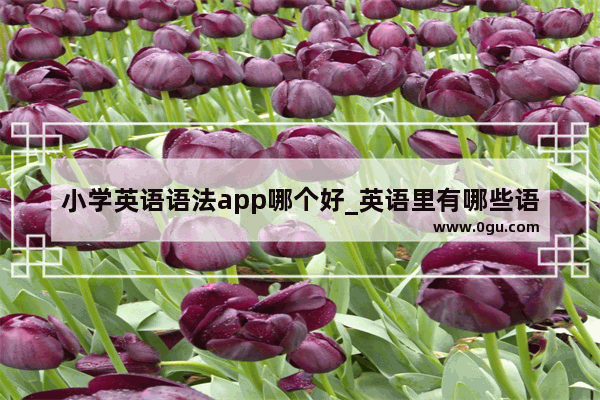 小学英语语法app哪个好_英语里有哪些语法