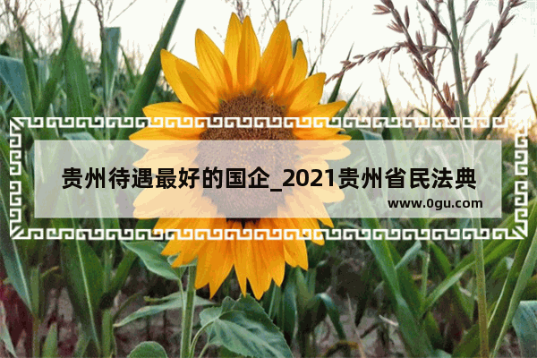 贵州待遇最好的国企_2021贵州省民法典知识测试题答案