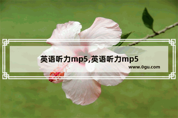 英语听力mp5,英语听力mp5