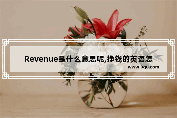 Revenue是什么意思呢,挣钱的英语怎么说