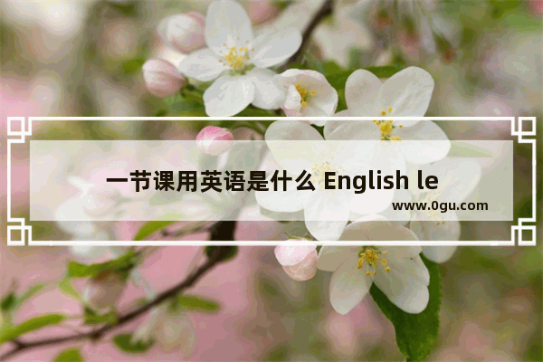 一节课用英语是什么 English lesson雅思