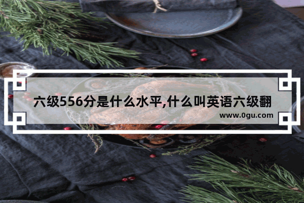 六级556分是什么水平,什么叫英语六级翻译满分