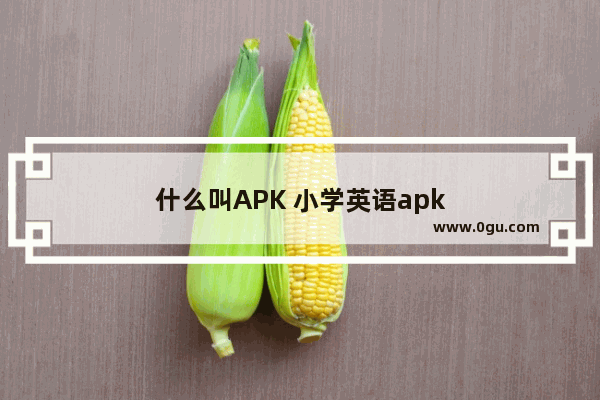 什么叫APK 小学英语apk