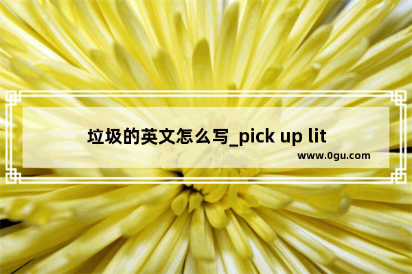 垃圾的英文怎么写_pick up litter是什么意思