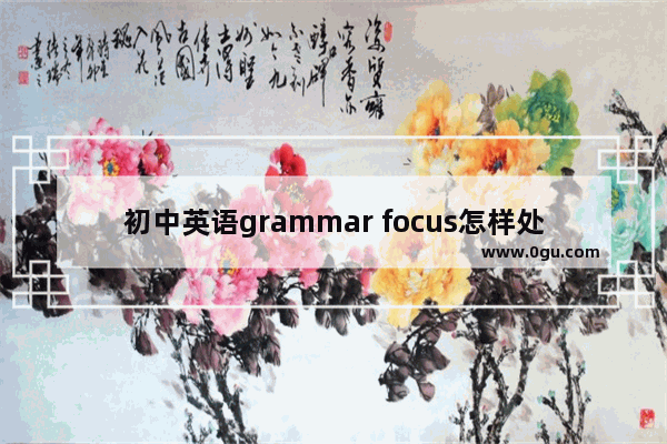 初中英语grammar focus怎样处理 英语语法教学形式聚焦思考