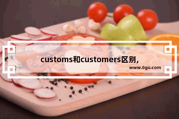 customs和customers区别,过海关英语怎么说