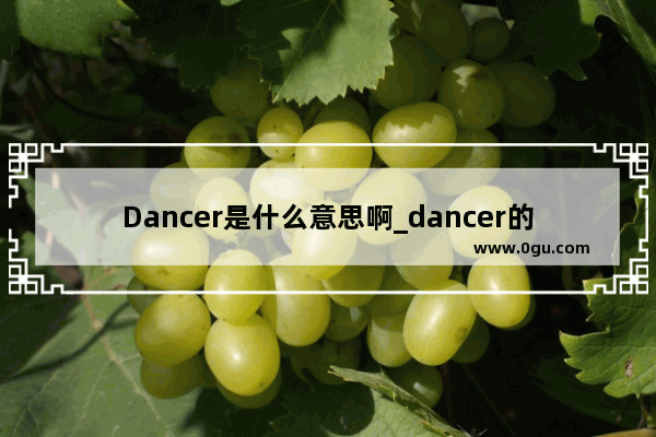 Dancer是什么意思啊_dancer的简写